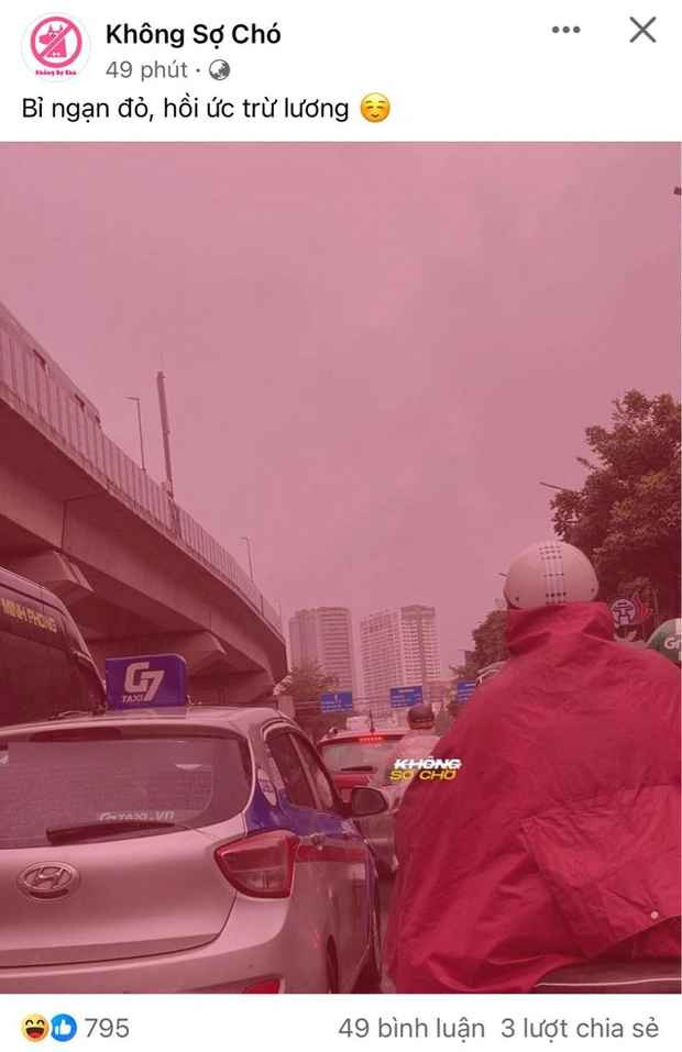 Ngoài các đoạn clip, trend ý nghĩa hoa bỉ ngạn còn được cư dân mạng sáng tạo dưới dạng ảnh chế.