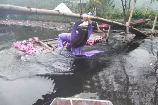 Điều khiến mọi người càng bức xúc hơn chính là sự kém duyên của hai người này đã khiến cho những bông hoa đang khoe sắc gãy rạp xuống và bị dập nát tới tả tơi.