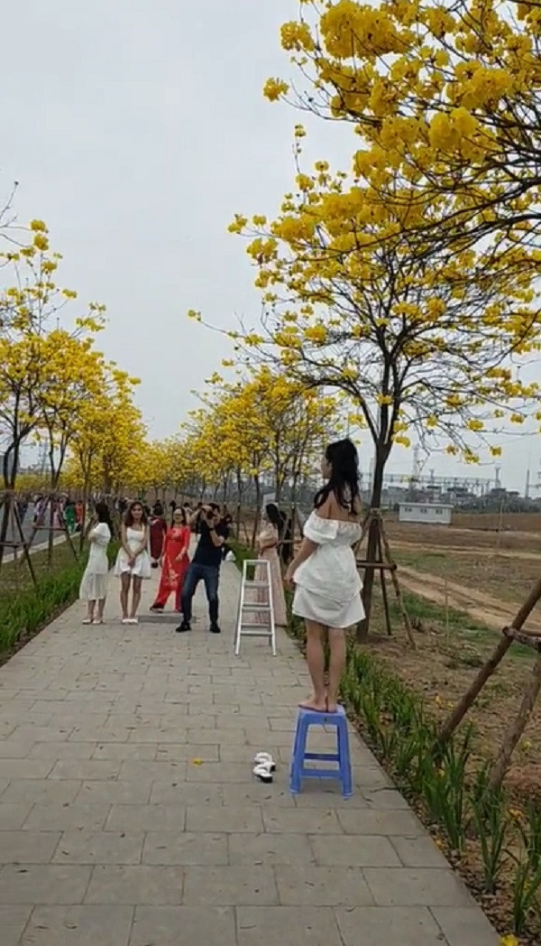 Một số người cho rằng họ đã bỏ ra số tiền khá lớn để đầu tư cho bộ ảnh này nên việc “lăn xả” để chụp ảnh cũng là điều dễ hiểu. Tuy nhiên, cũng có nhiều người cho rằng ai cũng yêu cái đẹp, việc muốn có ảnh với những dàn hoa rực rỡ thì không ai cấm nhưng cũng nên tiết chế cho phù hợp hơn.