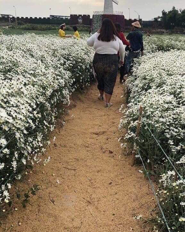 Trước đó, mạng xã hội cũng bức xúc chia sẻ hình ảnh cô gái tạo dáng kém duyên khi chụp ảnh với cúc họa mi.