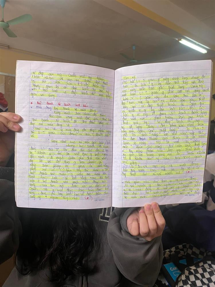 Theo đó, hầu như tất cả nội dung được ghi chép trong vở Ngữ Văn đều được cô bạn này dùng bút nhớ đánh dấu để tiện cho việc học.