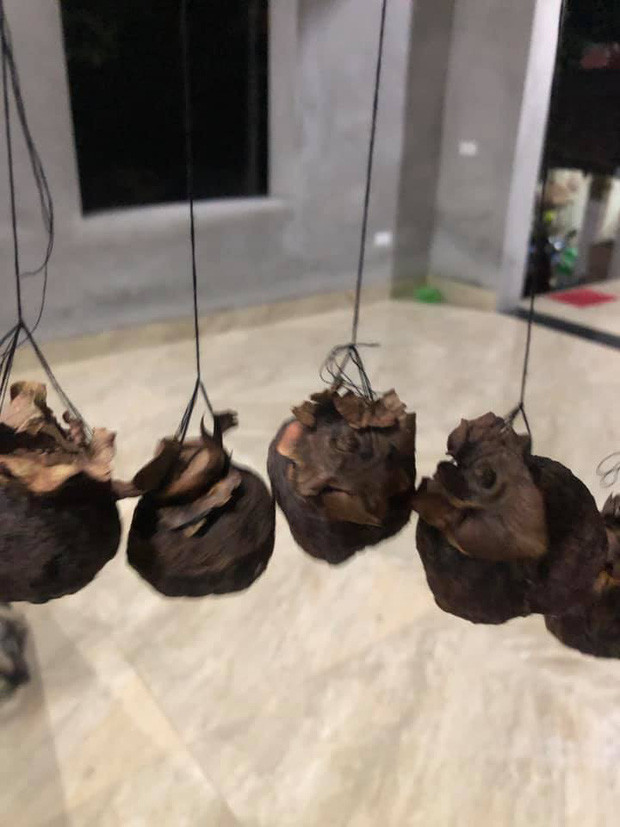 Nhiều chị em nhanh chóng có cho mình một dàn hồng treo gió đẹp mắt ngay khi mùa hồng vừa chớm nhưng thành quả thì không thể hưởng thụ.