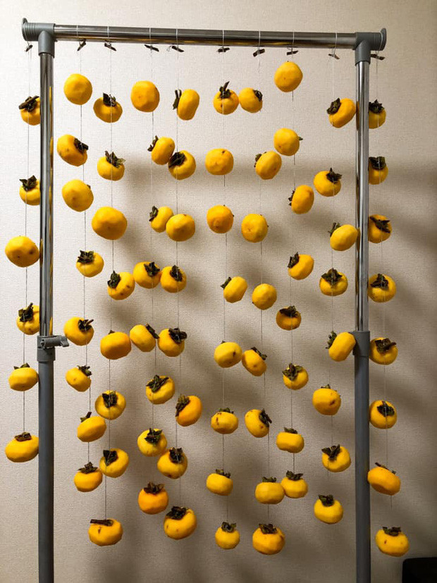 Chưa biết có ăn được hay không nhưng nhìn dàn hồng treo này điểm thẩm mỹ thì đạt trọn 10/10.