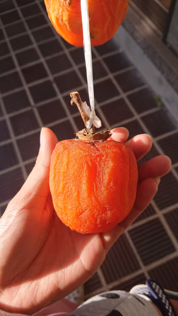 Nhiều chị em may mắn nhìn hình thức quả hồng treo có vẻ đẹp nhưng chưa rõ thành phẩm bên trong thì ra sao?