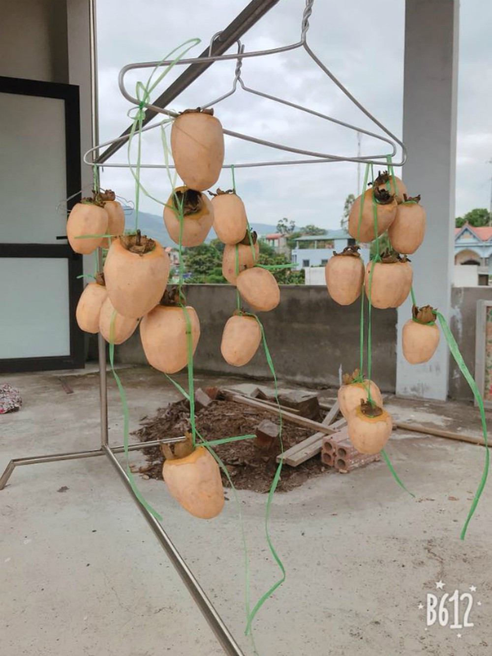 Cũng là hồng treo gió nhưng nhiều chị em sáng tạo lại treo hồng xiêm.