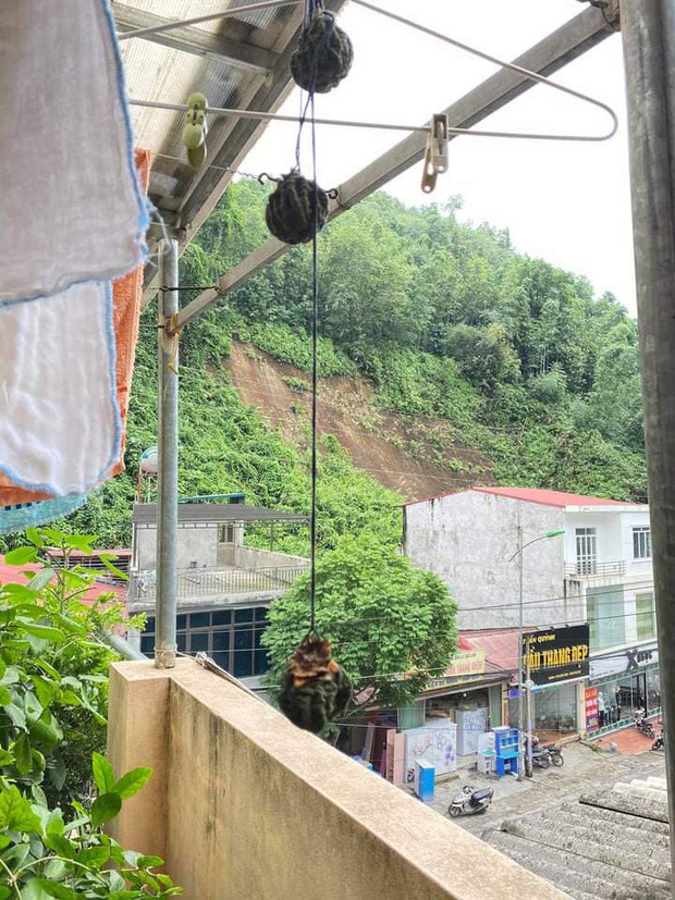 Có những quả hồng dẻo quánh vừa phải, nhìn thôi đã khiến người ta nuốt nước miếng ừng ực. Và cũng có những quả hồng "đau khổ" quắt queo, bị mốc hoặc bị đen trông rõ chán...