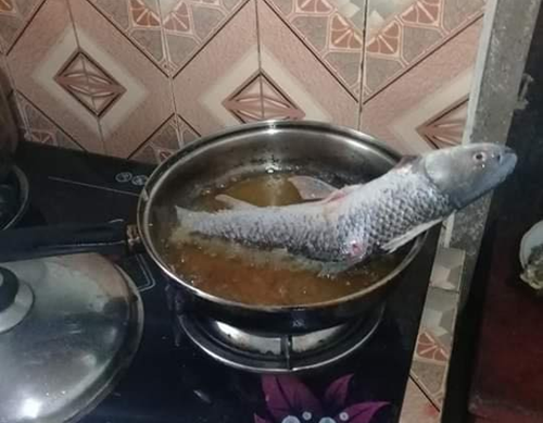 "Cá rô sống dai thôi, có gì đâu", "Có khi cá còn chưa mổ, vẫn để nguyên mang rồi cho lên rán nên nó mới giãy vậy" hay "Bạn nên đổ nhiều dầu vào, cá nó bơi được thì nó không nhảy nữa"... là những bình luận dân mạng.