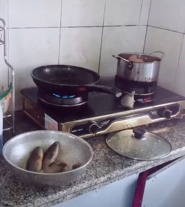 Nhìn cảnh này mà cư dân mạng không nhịn được cười. Nhiều người hào hứng vào phân tích lý do vì sao lại xảy ra thảm họa nấu ăn thế này.