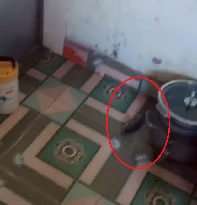 Bên cạnh những người chỉ ra nguyên nhân thì cũng có không ít bình luận theo kiểu hài hước khiến chủ nhân clip nghe xong cũng phải á khẩu.