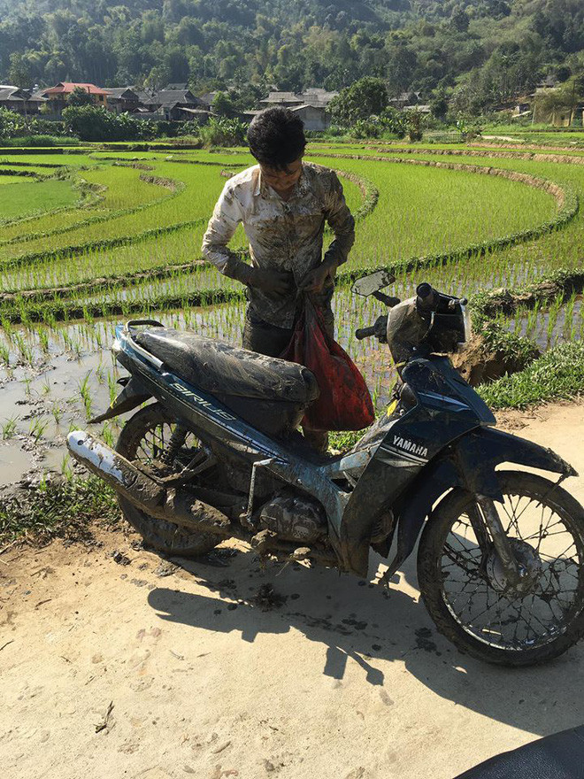 Chẳng hiểu vì lý do gì mà chàng thanh niên này lại chọn điểm đến của mình đó là ruộng lúa.