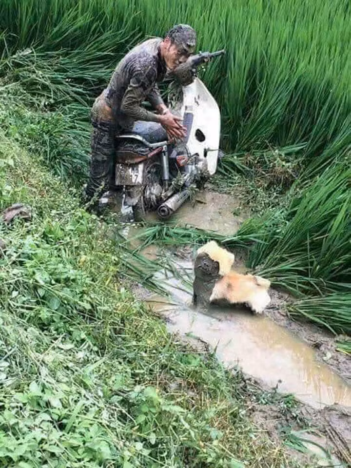 Trước đó, không ít lần dân mạng được phen cười bò với những pha lao xe xuống ruộng khiến từ chân tới đầu đều lấm lem bùn đất.