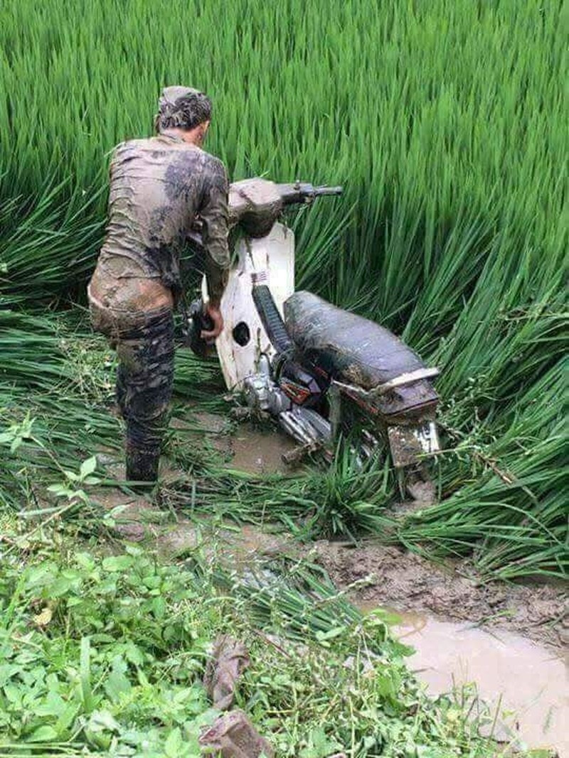 Cây lúa không có tội mà sao lại phá nát nó vậy!