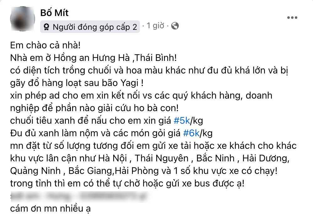 Trong khi đó, một người dân tại xã Hồng An, huyện Hưng Hà, tỉnh Thái Bình cũng chia sẻ những hình ảnh về diện tích lớn trồng chuối và đu đủ của bà con nơi đây đã bị hư hại nặng.