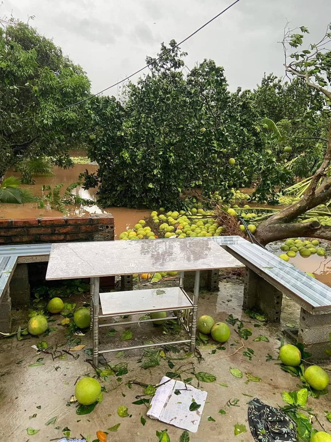 Bên dưới những bài đăng này, các cư dân mạng khắp nơi đều hưởng ứng, rủ nhau cùng giúp đỡ giải cứu. Người mua, người chia sẻ bài viết để cùng lan toả tinh thần.