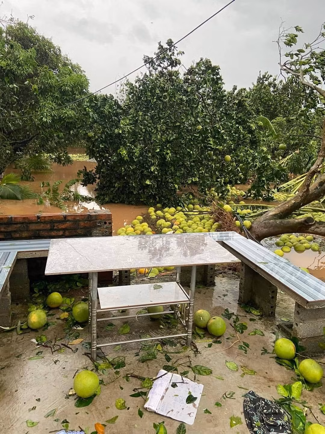 Bên dưới những bài đăng này, các cư dân mạng khắp nơi đều hưởng ứng, rủ nhau cùng giúp đỡ giải cứu. Người mua, người chia sẻ bài viết để cùng lan toả tinh thần.