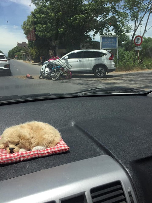 Chắc hẳn không ít lần cư dân mạng chứng kiến tình cảnh trớ trêu của những chủ xế hộp tiền tỷ bỗng nhiên bị một phương tiện thô sơ nào đó tông trúng, để rồi bắt đền thì thương người mà bỏ qua lại tội mình. Mới đây, mạng xã hội xuất hiện bức ảnh ghi lại hiện trường vụ tai nạn giữa một bên là xe máy và một bên là ô tô đang di chuyển trên đường.