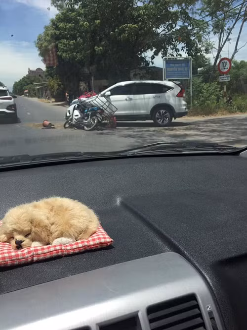 Chắc hẳn không ít lần cư dân mạng chứng kiến tình cảnh trớ trêu của những chủ xế hộp tiền tỷ bỗng nhiên bị một phương tiện thô sơ nào đó tông trúng, để rồi bắt đền thì thương người mà bỏ qua lại tội mình. Mới đây, mạng xã hội xuất hiện bức ảnh ghi lại hiện trường vụ tai nạn giữa một bên là xe máy và một bên là ô tô đang di chuyển trên đường.