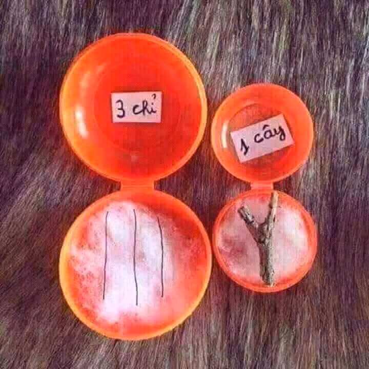 "3 chỉ và 1 cây em chọn bên nào"