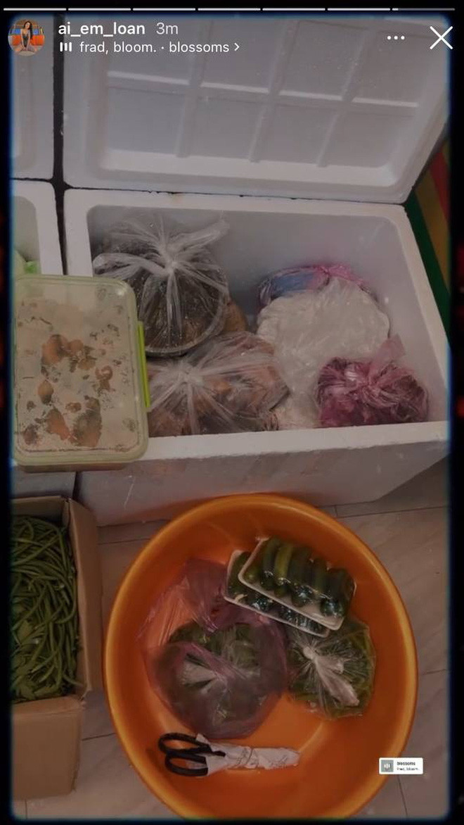 Trước đó, Lê Loan khiến bao người ganh tị khi khoe nhẹ chiếc tủ lạnh đầy ắp nhận được từ mọi người trong mùa dịch.