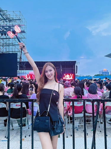 Bên cạnh thành tích thi đấu trong nước, Phương Anh từng góp mặt tại đấu trường SEA Games từ kỳ đại hội lần thứ 28 năm 2015 tại Singapore.