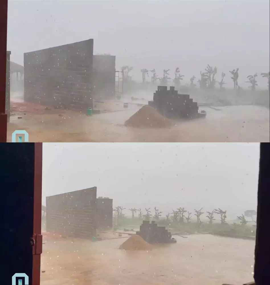 Vận đên chưa dứt, trang trại bạc tỷ Quang Linh Vlogs gặp biến lớn Van den chua dut, trang trai bac ty Quang Linh Vlogs gap bien lon