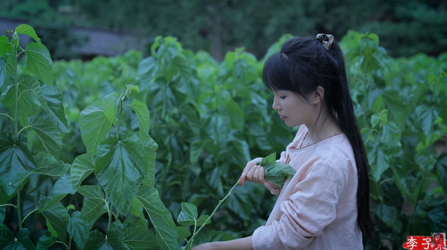 Nhưng ngược lại có nhiều người khẳng định chính những hình ảnh này là minh chứng rõ ràng nhất cho chặng đường vất vả của Lý Tử Thất trong thời gian vừa qua.