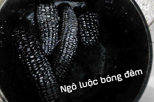 "Ngô luộc bóng đêm" là thành quả của việc luộc ngô nhưng để quên.