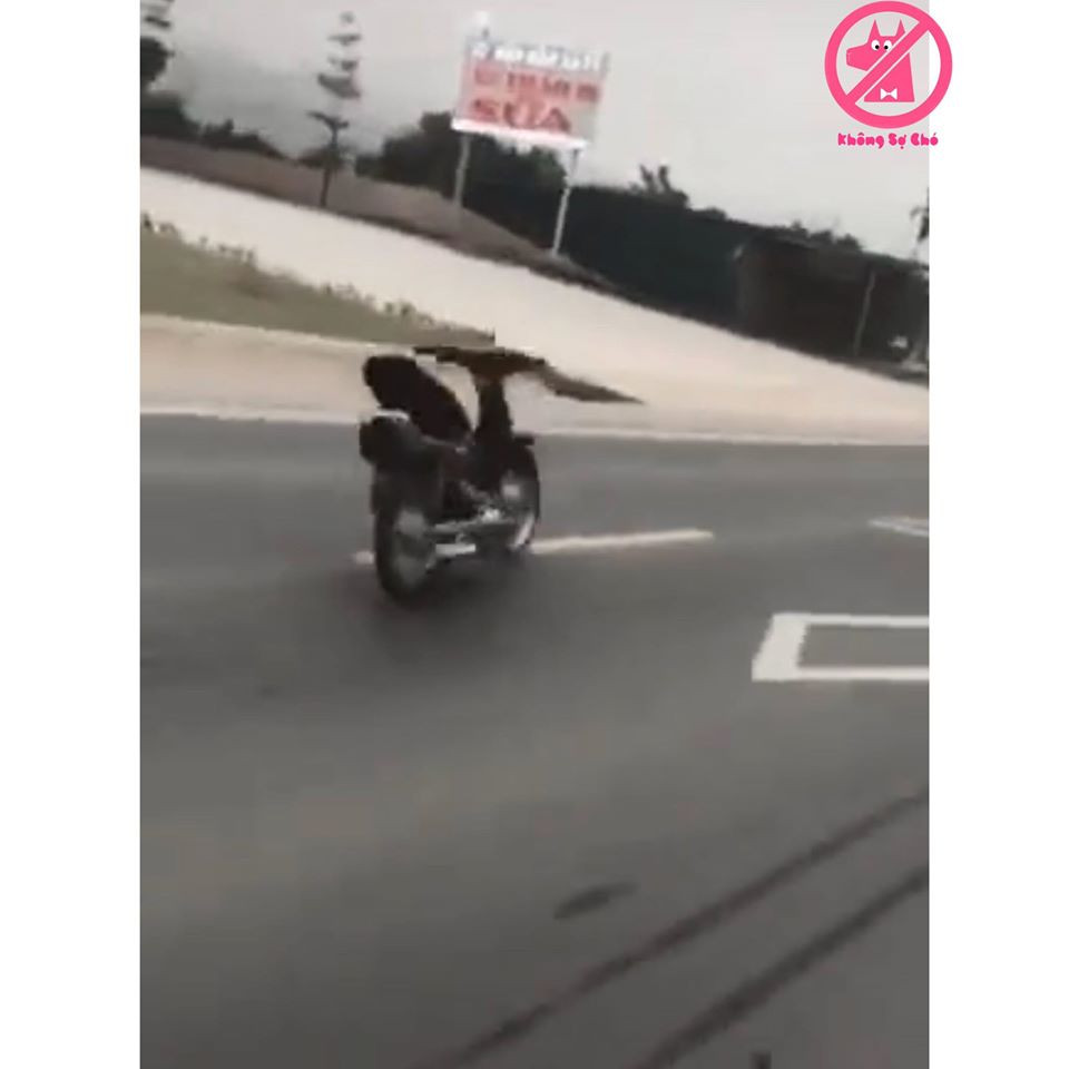 Sau pha bốc đầu thảm họa, hai nam thanh niên đã "mất hình" chỉ còn lại chiếc xe không lao ra giữa đường.