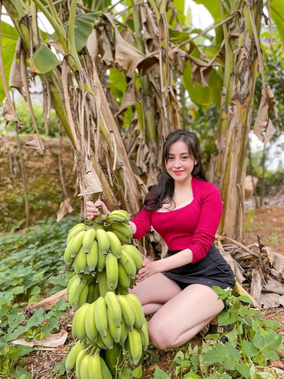 Bà Tưng hút hơn 11 nghìn lượt like, hơn 1 nghìn bình luận và 26 chia sẻ với clip nhổ sắn. Đây là một con số người tương tác khá lớn với một clip thông thường.