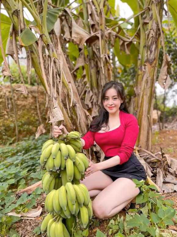 Bà Tưng hút hơn 11 nghìn lượt like, hơn 1 nghìn bình luận và 26 chia sẻ với clip nhổ sắn. Đây là một con số người tương tác khá lớn với một clip thông thường.