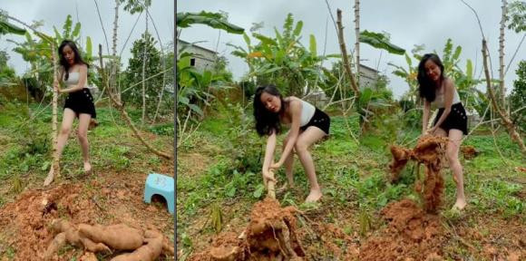 Sau quãng thời gian "ở ẩn", bà Tưng (tên thật: Lê Thị Huyền Anh) tái xuất trên mạng xã hội. Để thu hút sự chú ý của cộng đồng mạng, gái xinh liên tục diện những trang phục ngắn cũn, gợi cảm.