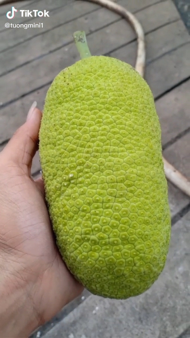 Mới đây, một anh chàng cũng khoe những quả mít nhà mình, còn không quên nhấn mạnh là quả sai đến tận ngọn.