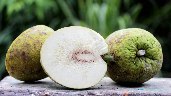 Sau một hồi phân vân, hoá ra đây không phải là cây mít, mà là cây sake, còn gọi là quả bánh mì.