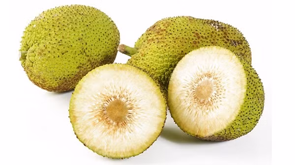 Tuy nhiên, sake không có múi như mít và cũng không ăn giống như mít.