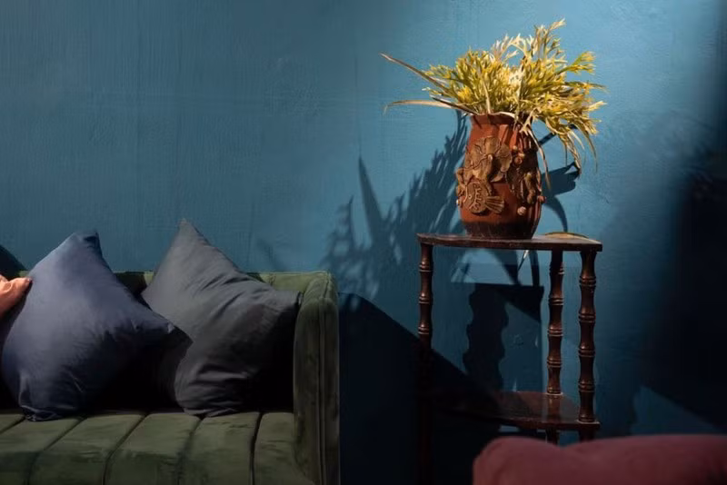 Ngam ngoi nha nhu ‘khu rung nhiet doi’ tai TP HCM-Hinh-5