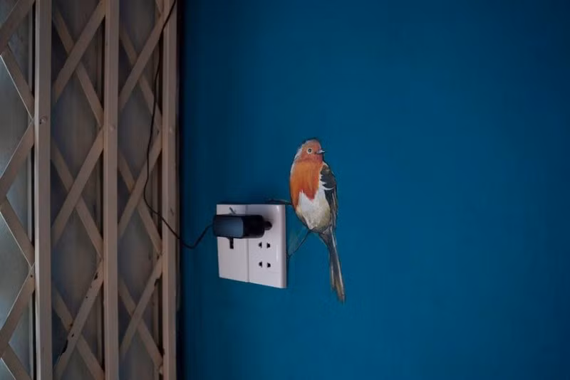 Ngam ngoi nha nhu ‘khu rung nhiet doi’ tai TP HCM-Hinh-15