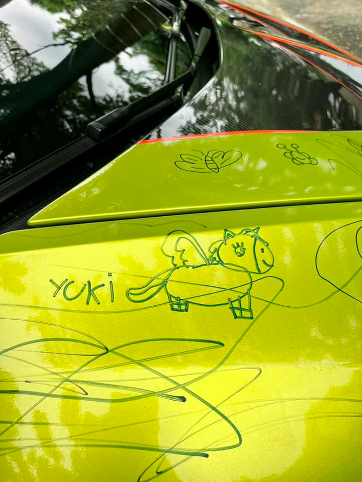 Trên trang cá nhân của mình, ông xã Đoàn Di Băng viết : "Tôi dặn vệ sĩ bảo vệ bọn trẻ mà tôi quên dặn vệ sĩ bảo vệ chiếc xe khỏi bọn trẻ. Ôi, tim tôi đau quá...".