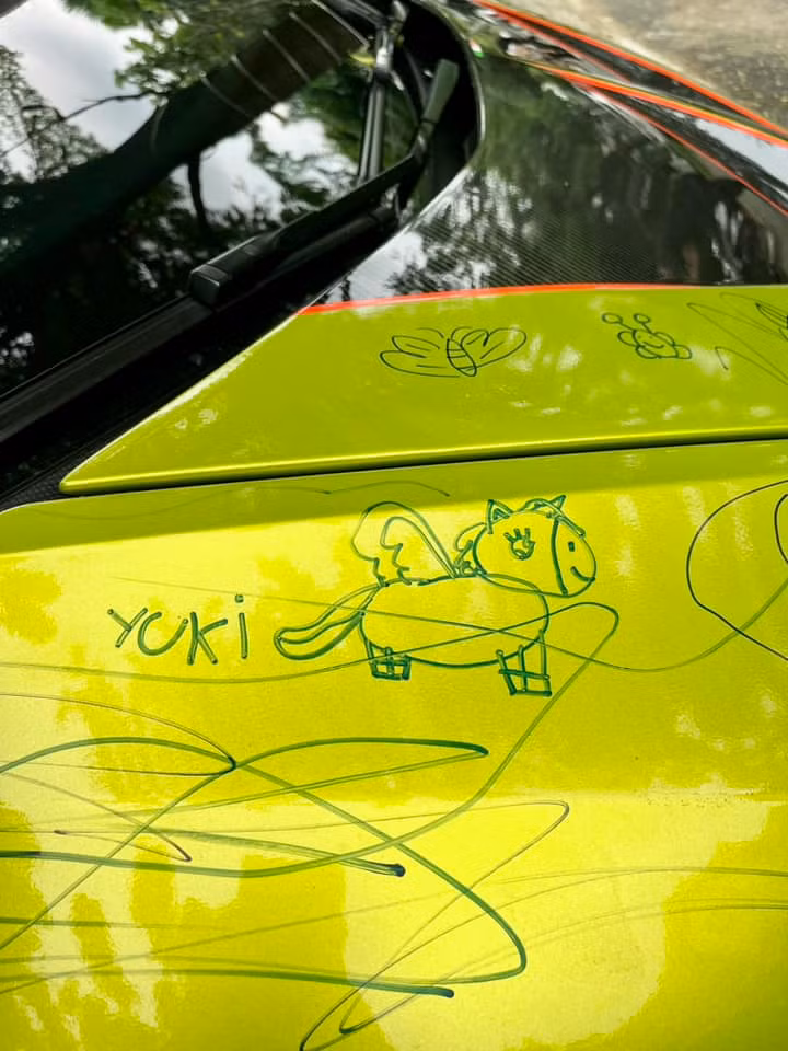 Trên trang cá nhân của mình, ông xã Đoàn Di Băng viết : "Tôi dặn vệ sĩ bảo vệ bọn trẻ mà tôi quên dặn vệ sĩ bảo vệ chiếc xe khỏi bọn trẻ. Ôi, tim tôi đau quá...".