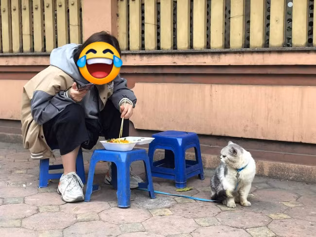 Đồng thời, phía dưới bài đăng có rất nhiều ý kiến bày tỏ cảm nghĩ về anh bạn bốn chân: “Phải chăng cơ thể như cái bánh chưng vì hấp thụ quá nhiều thịt lợn".