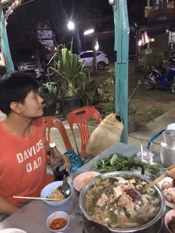 Thông qua những khoảnh khắc mà “sen” bắt được có thể thấy mỗi khi gia đình có tiệc, chú chó luôn góp mặt.