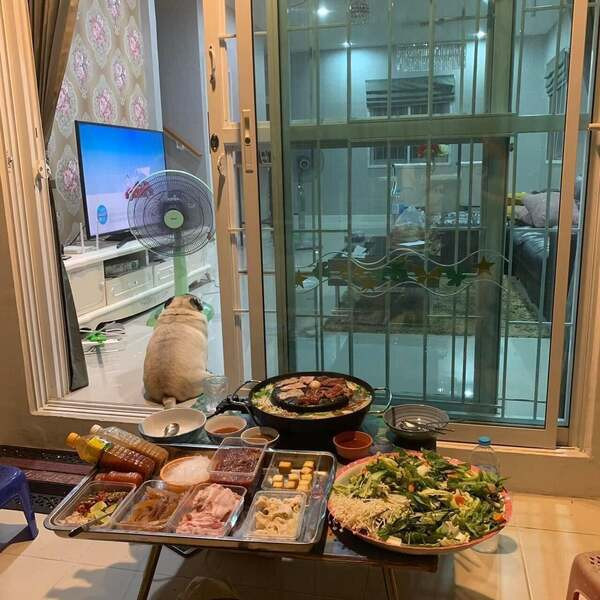 Sau khi loạt ảnh độc đáo trên được lan truyền trên mạng xã hội nó đã nhận về lượng tương tác lớn với hơn 3.000 bình luận và gần 10.000 lượt chia sẻ. Hầu hết netizen đều phải cũng “đổ gục” vì sự đáng yêu đó.