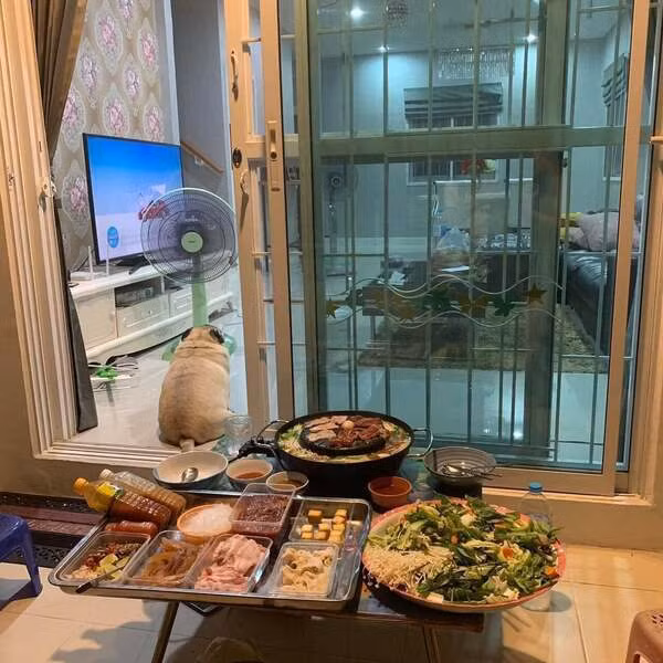 Sau khi loạt ảnh độc đáo trên được lan truyền trên mạng xã hội nó đã nhận về lượng tương tác lớn với hơn 3.000 bình luận và gần 10.000 lượt chia sẻ. Hầu hết netizen đều phải cũng “đổ gục” vì sự đáng yêu đó.