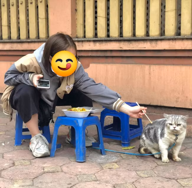 Hay một số người cho rằng, đây là chú chó cưng "khó hầu" nhất quả đất, thịt nướng ngon như vậy mà cũng không chiều được lòng nó