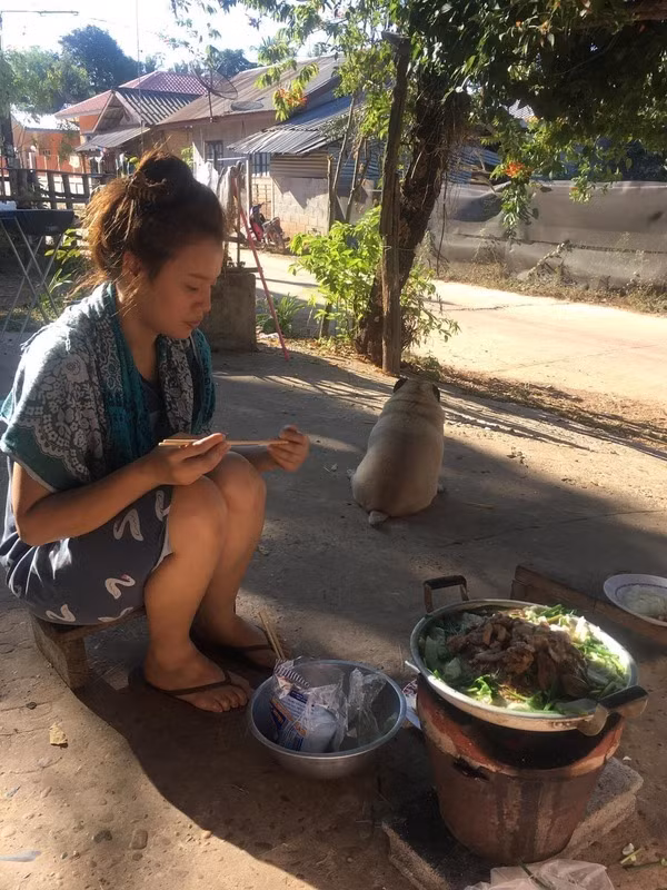 Dường như chú chó pug này có sự tương khắc với thịt heo, chủ nhân lại thừa nước đục thả câu, lấy việc này đem ra chọc ghẹo.