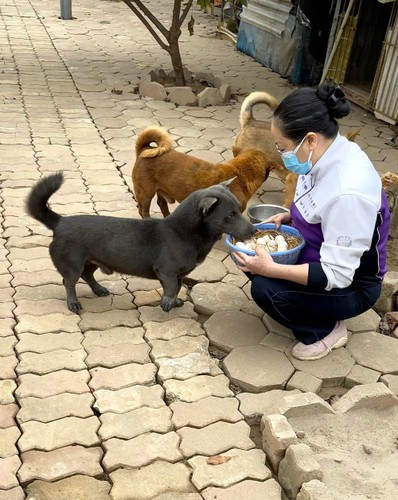 Đến hiện tại, fanpage của chú chó này đang có gần 240.000 người theo dõi.