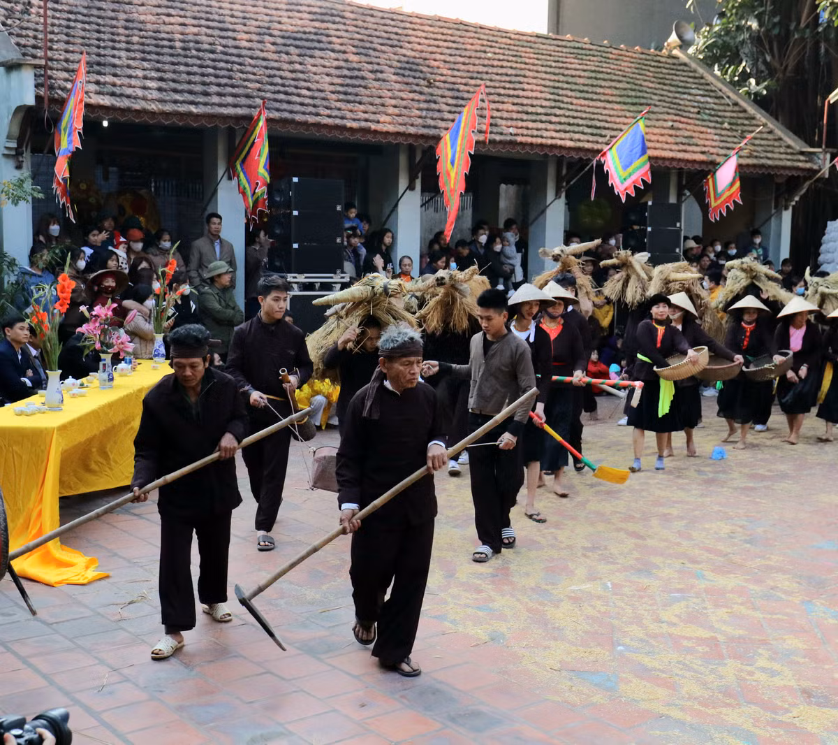 Theo tìm hiểu của PV, Lễ hội "Trâu rơm bò dạ" được phục dựng lại năm 1996 giữ nguyên những nét cốt lõi của lễ hội xưa. Tất cả đều tham gia, bày trò nơi sân miếu vào đầu năm, tạo nên bức tranh xuân rộn ràng, đong đầy giá trị nhân văn.