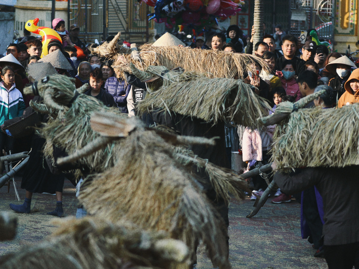 Lễ hội "Trâu rơm bò rạ" là lễ hội đặc trưng của nền văn minh lúa nước khu vực đồng bằng sông Hồng.