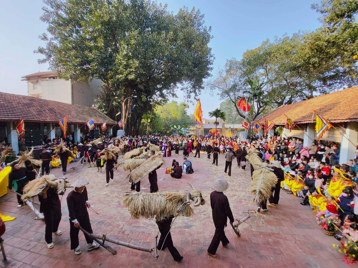 Sau phần dâng lễ của các cụ cao niên tại miếu làng Đại Đồng, không khí lễ hội tưng bừng bắt đầu diễn ra, những con trâu bằng rơm, bằng rạ được người dân hóa thân đi cày.