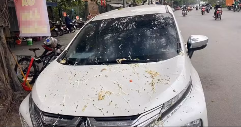 Vì đỗ xe chắn cửa hàng đang buôn bán mà chủ xe nhận cái kết toàn bún, phở.