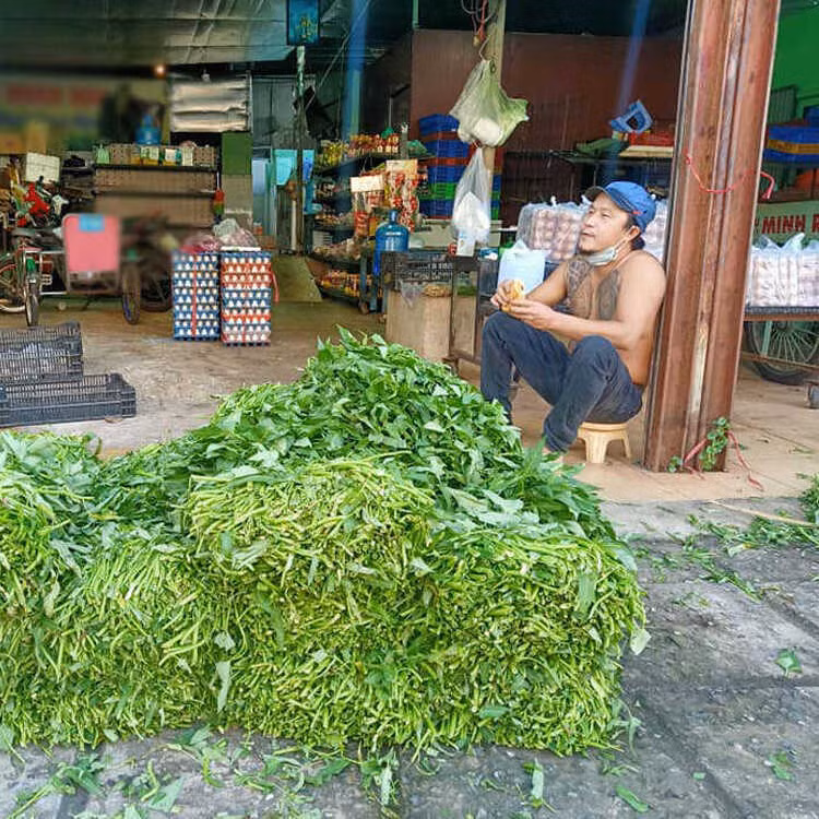 Vẫn với đặc trưng, châm ngôn cũ khi bán hàng đó là bán đúng giá và thường giúp đỡ hoàn cảnh khó khăn, chủ sạp rau Minh Râu nhận về tình yêu thương lớn từ mọi người. Trang cá nhân của anh tăng tương tác và trở nên nổi tiếng hơn.